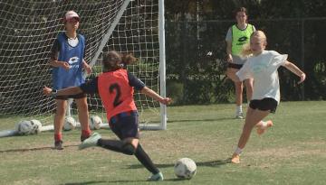 Football: Auckland programme aims to reverse dwindling number of Kiwi girls playing football