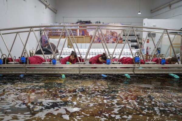  PHOTOS: Spanish tapestry factory, once home to Goya, is still weaving 300 years after it opened