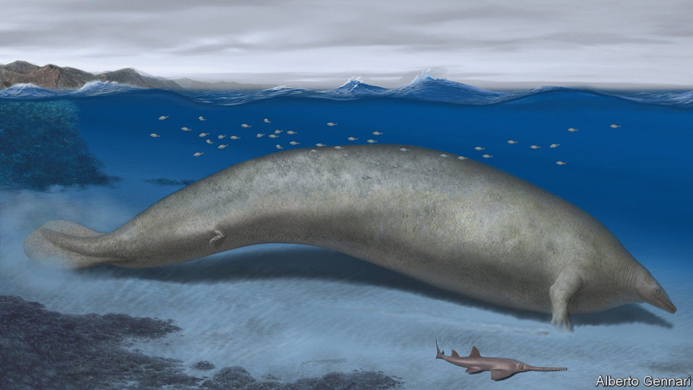 An ancient whale-like animal may be the biggest to have ever lived