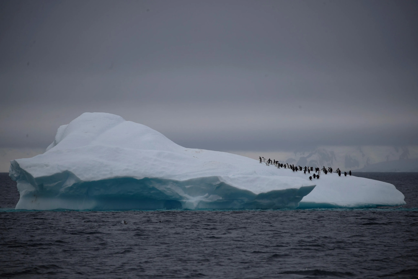 No quick fix to reverse ‘astonishing’ Antarctic sea ice loss: Scientists