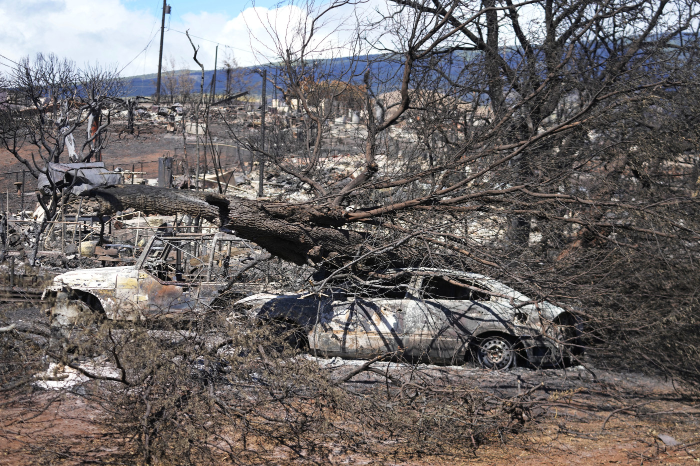 Maui wildfire survivors decry lack of warnings as death toll rises