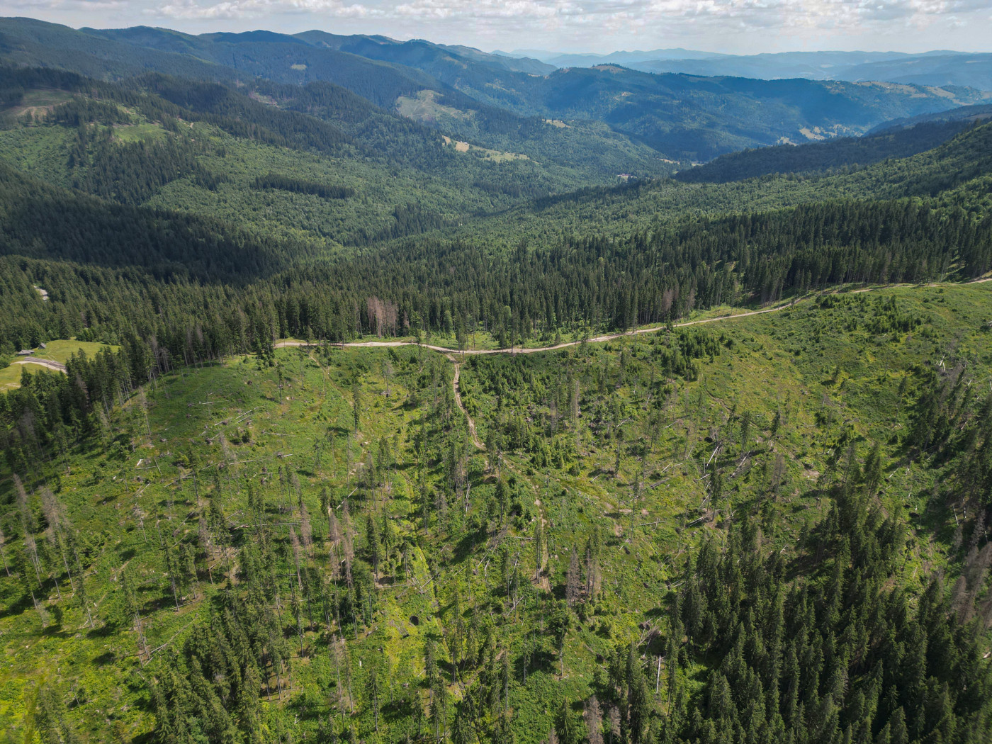 Extreme weather: Nature holds the keys of resilience and hope