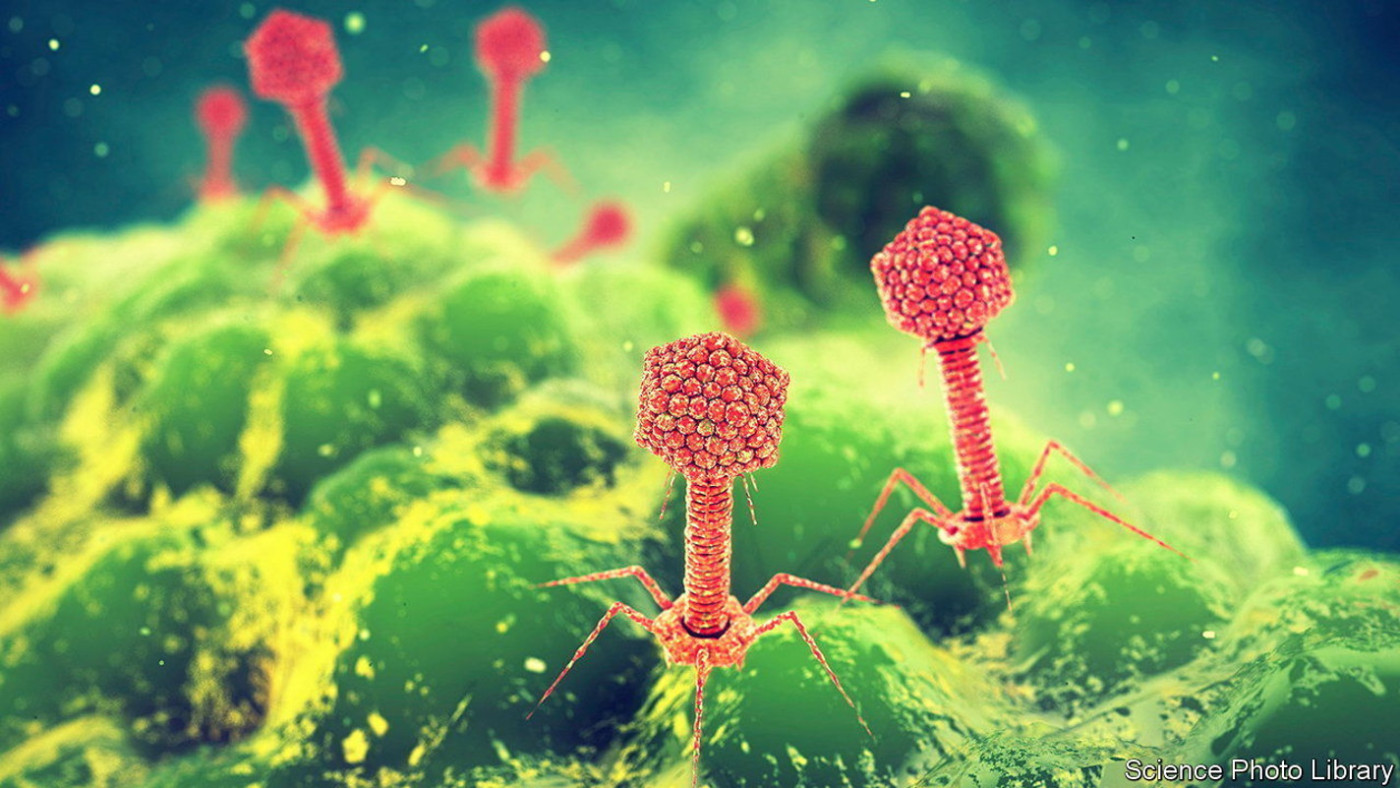 Tiny hitchhikers on viruses could promote resistance to antibiotics