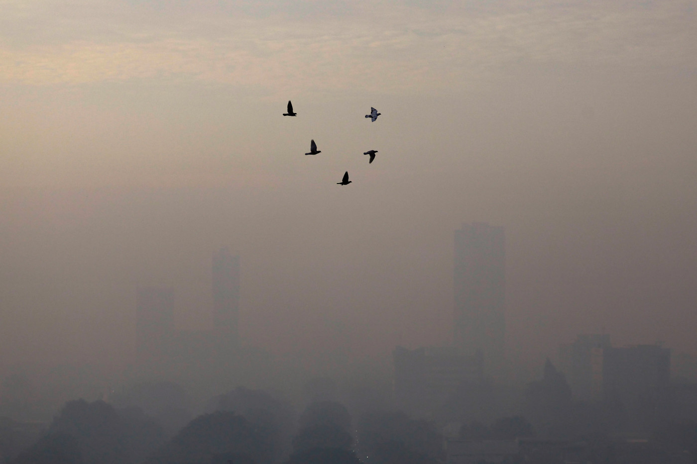 Indonesia’s president has a cough, air pollution could be the culprit