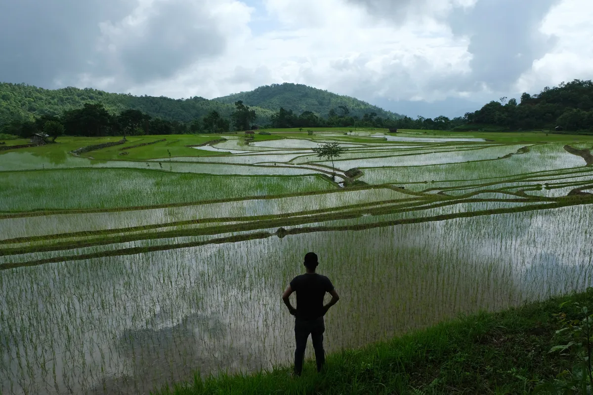 How India’s ban on some rice exports is ricocheting around the world