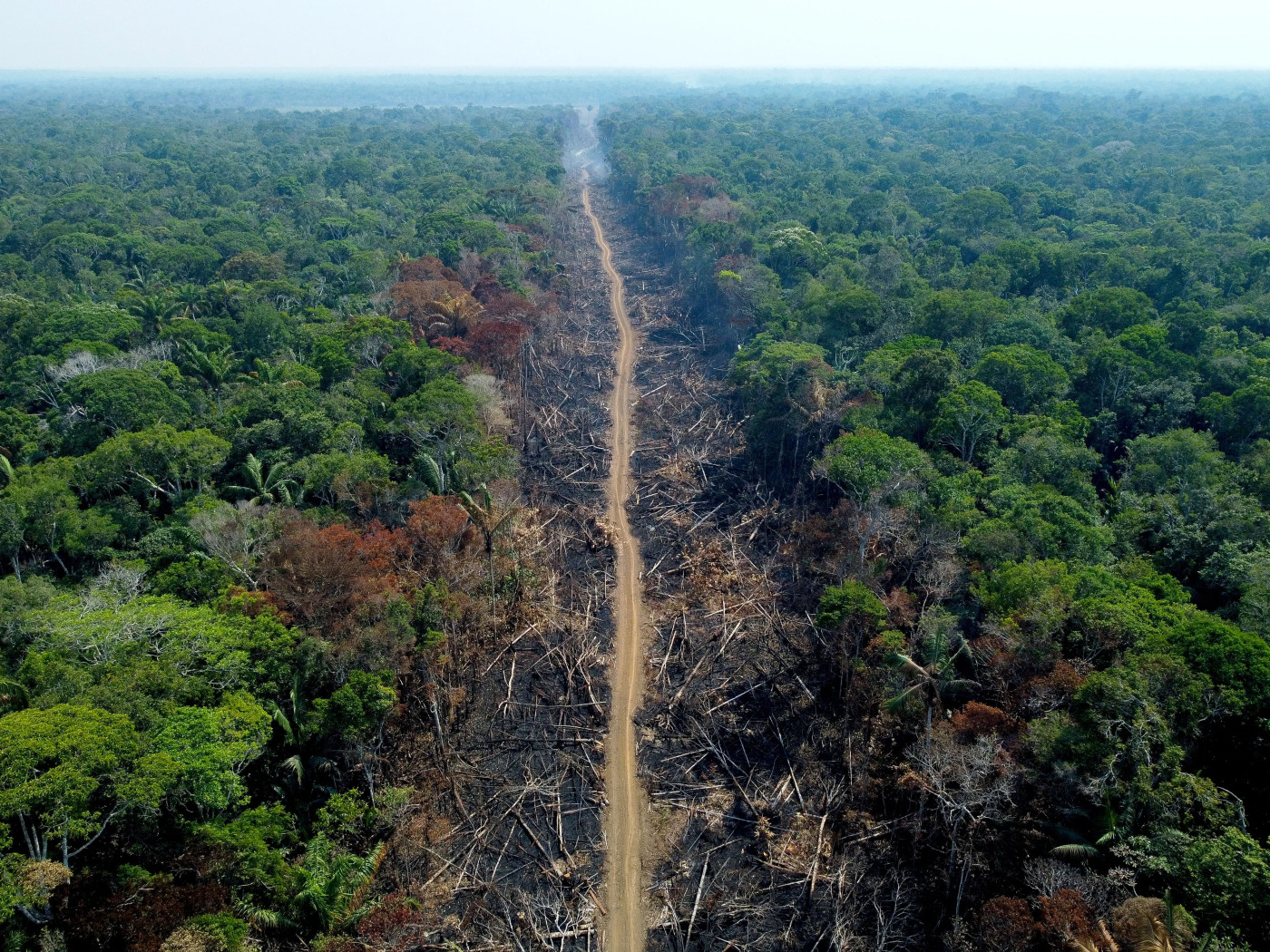 Brazil hosts ‘landmark’ Amazon summit: What you need to know