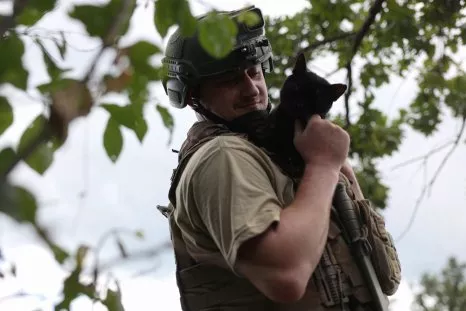 Russian Cat Killer 'Eliminated' on Ukraine Frontlines