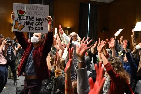 Anti-Israel Protesters Disrupt Biden Official's Testimony: 'Murderer'