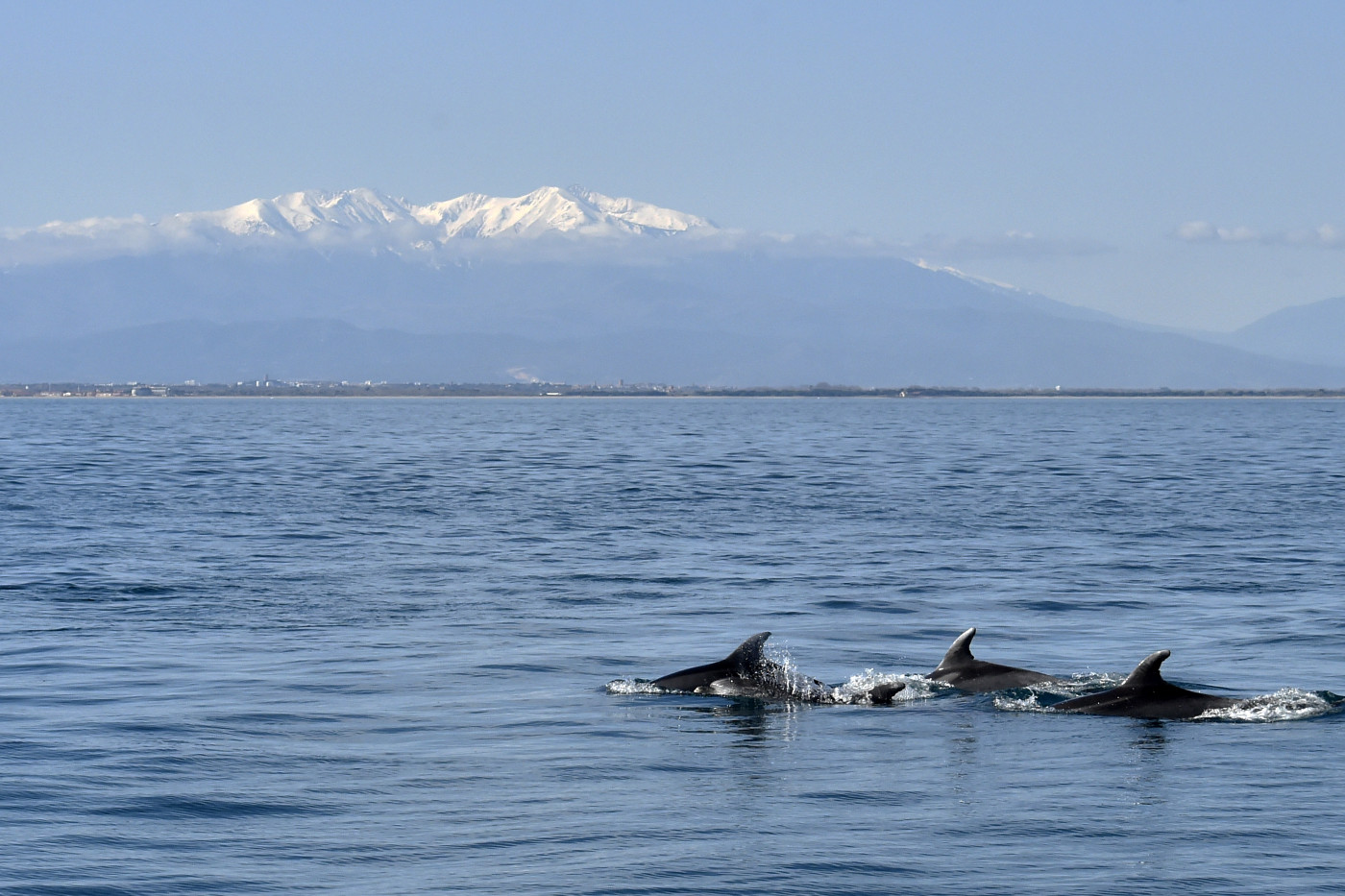 World’s oceans set new temperature record as global warming intensifies