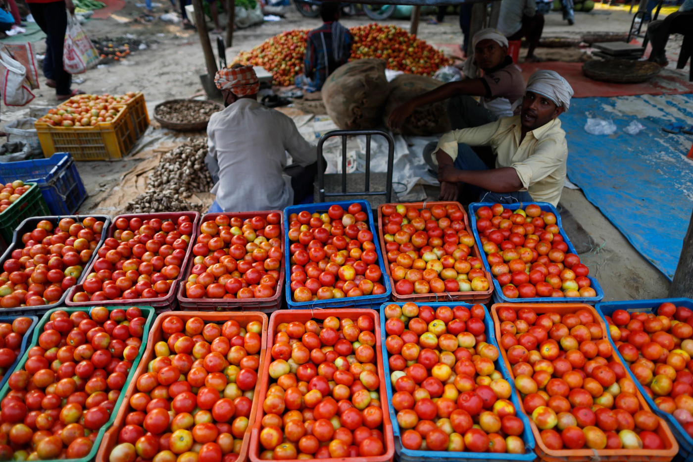 India’s wild price swings for tomatoes make and lose fortunes