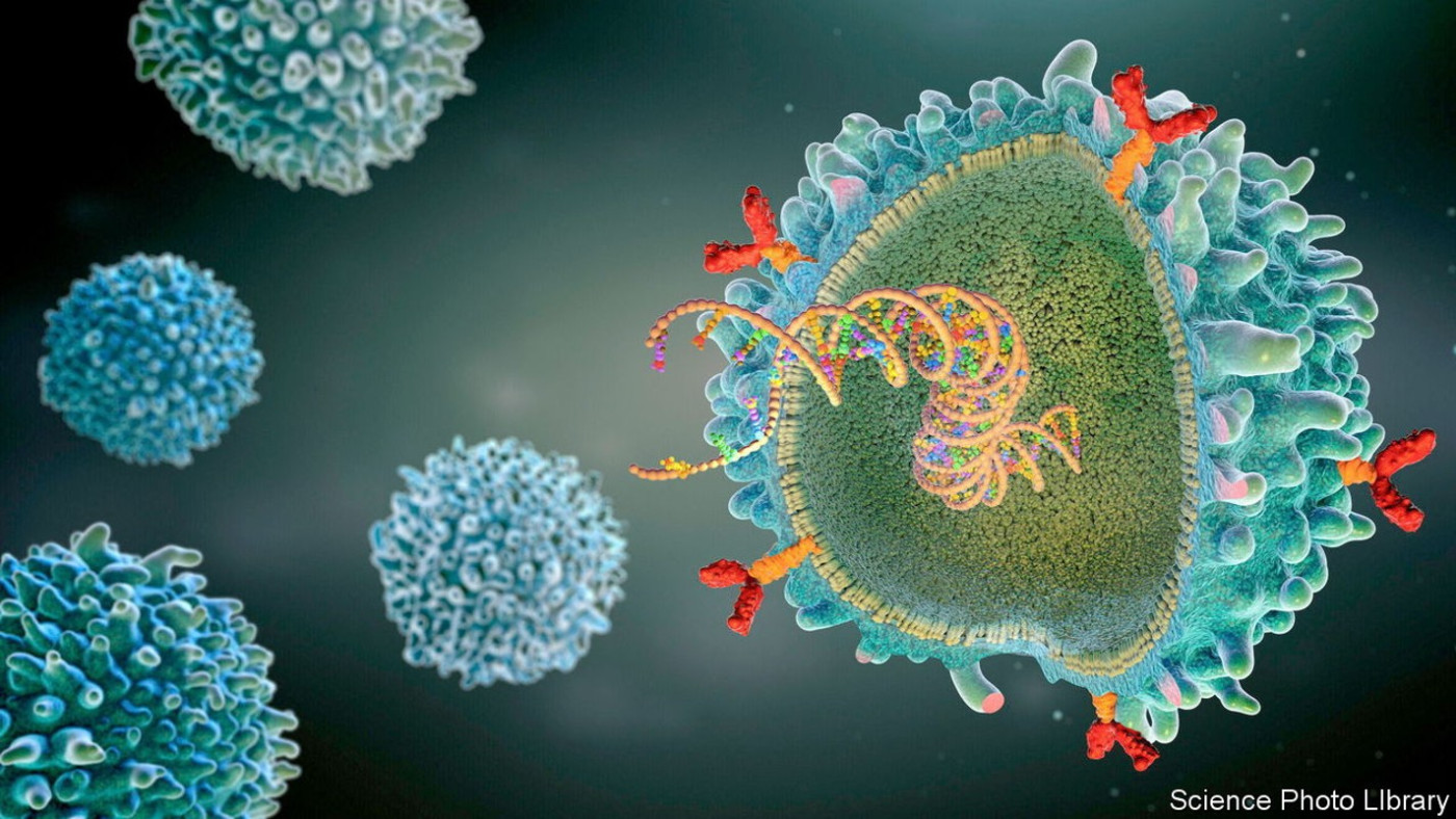 A risky cancer treatment can be modified to treat immune diseases