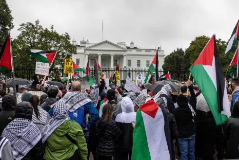 Professor Praising 'Much Needed Cleansing' of Palestinians Sparks Fury