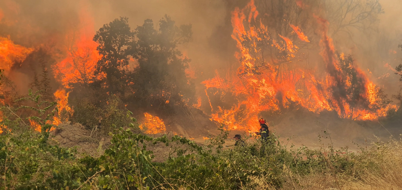 ‘All my fortune was there’: Fires devastate Greek livelihoods and wildlife