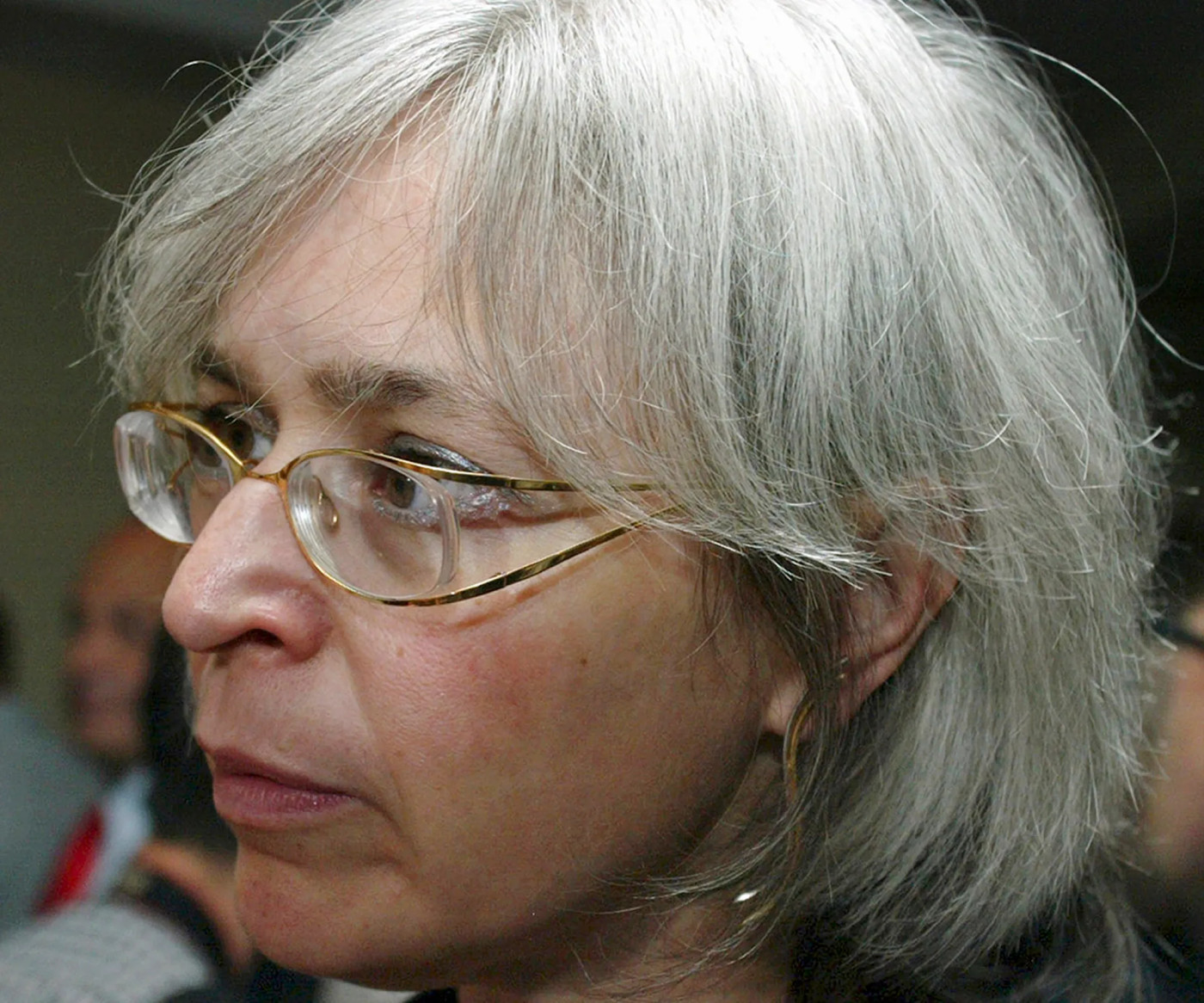 Russian convicted over journalist Anna Politkovskaya’s murder pardoned