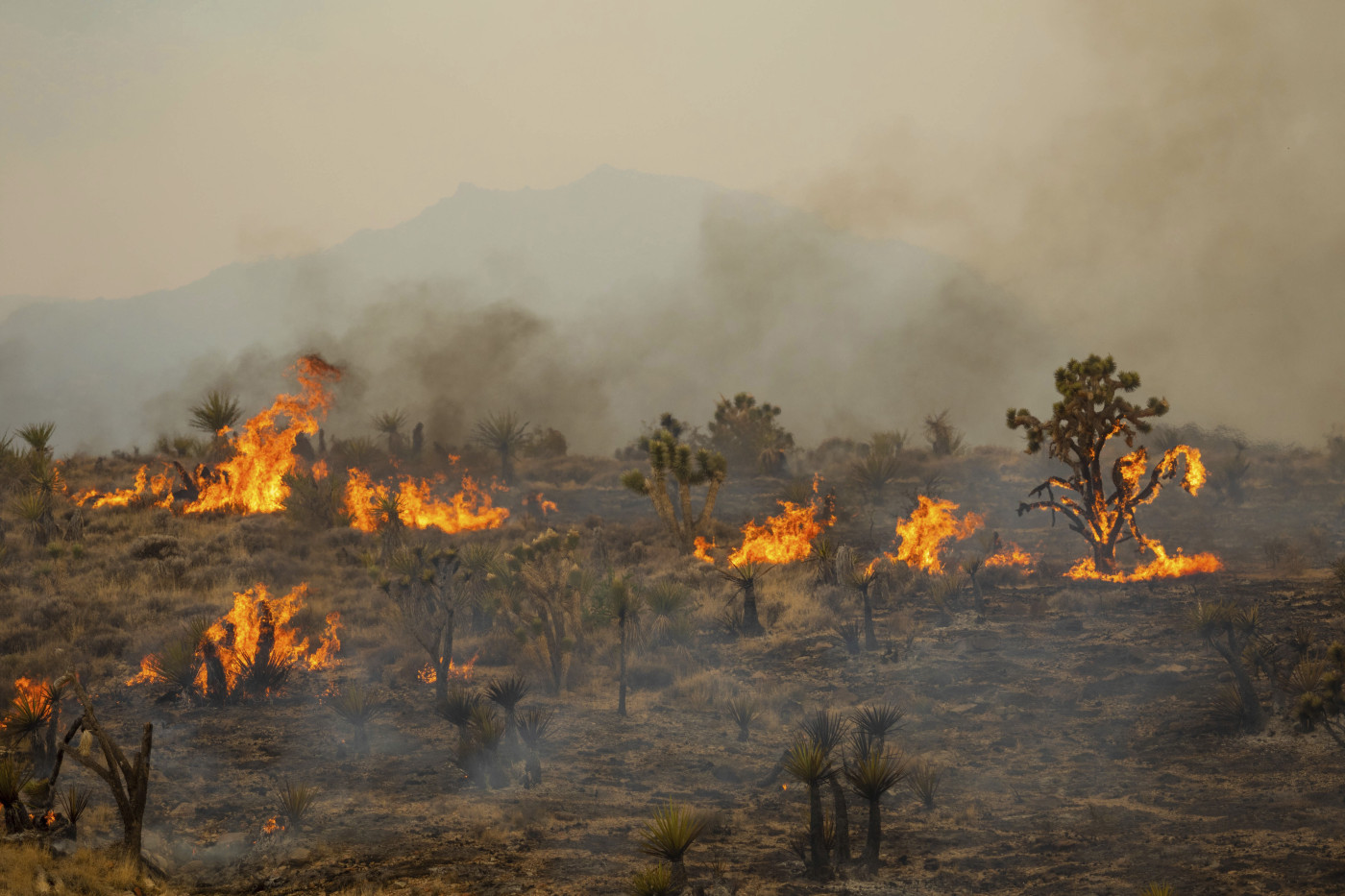 July 2023 hottest month on record as heatwaves scorch Earth