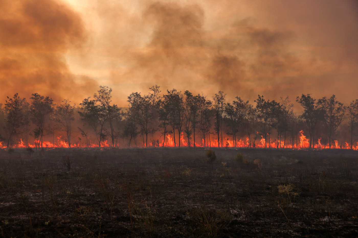 2023 shatters record for world’s warmest year: EU climate agency