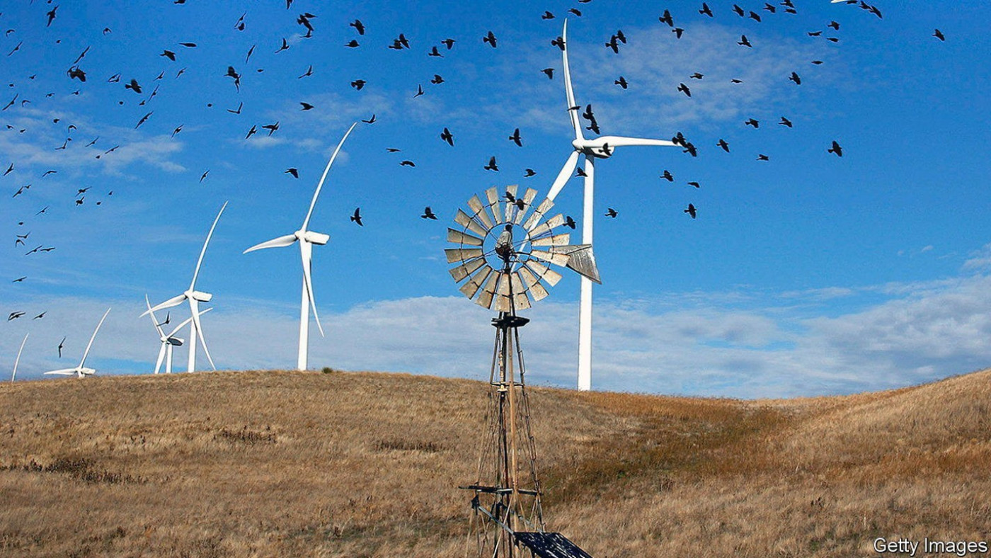 Wind turbines are friendlier to birds than oil-and-gas drilling