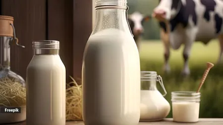 Don’t drink milk? This is how you can fulfill your calcium needs