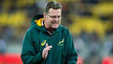 Rugby: South Africa director of rugby Rassie Erasmus hospitalised with chemical burns after freak accident