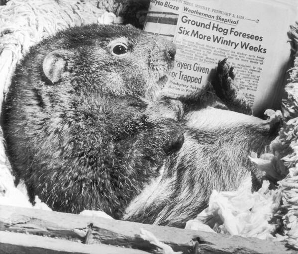 Groundhog Day’s biggest star is Phil, but the holiday’s deep roots extend well beyond Punxsutawney