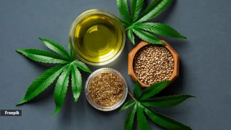 Nutrition alert: Here’s what a 100-gram serving of hemp seeds contains