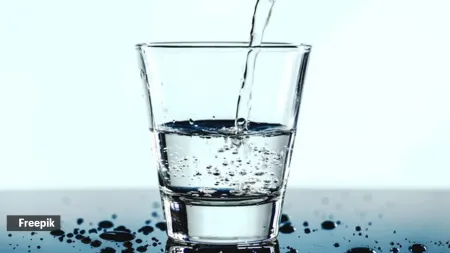 What happens to your body when you go on a 7-day water only fast?