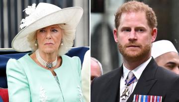 Prince Harry refused to be in same room as Queen Camilla during King Charles visit - report