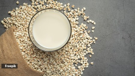 What is millet milk and can it be used every day as regular milk?