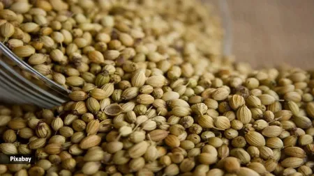 Experts on whether coriander seeds water helps to relieve burning sensation after urination