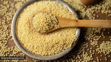 Is foxtail millet richest source of protein? Nutrition experts weigh in