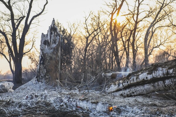 A wildfire scorching the Texas Panhandle has grown to the largest in state history