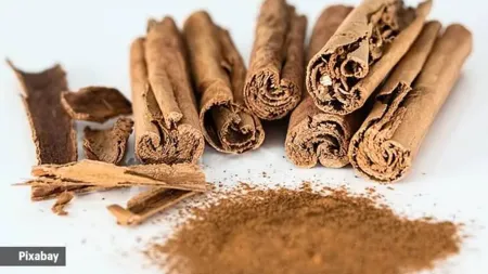 Is cinnamon a necessary component for women to include in their diets?