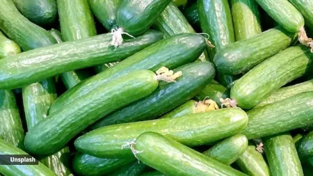 Why you should include cucumbers in your diet