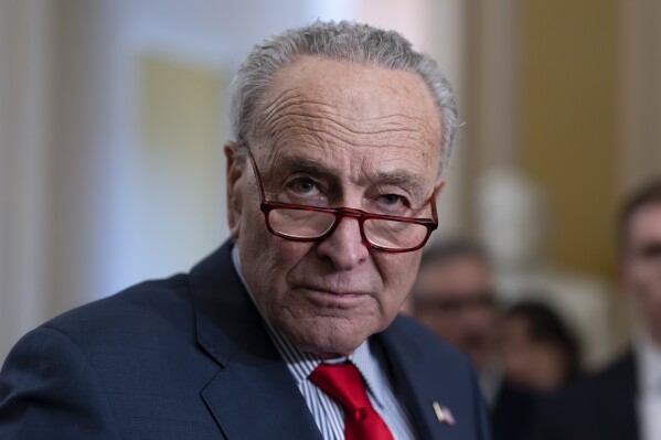 Top Democrat Schumer calls for new elections in Israel, saying Netanyahu has ‘lost his way’