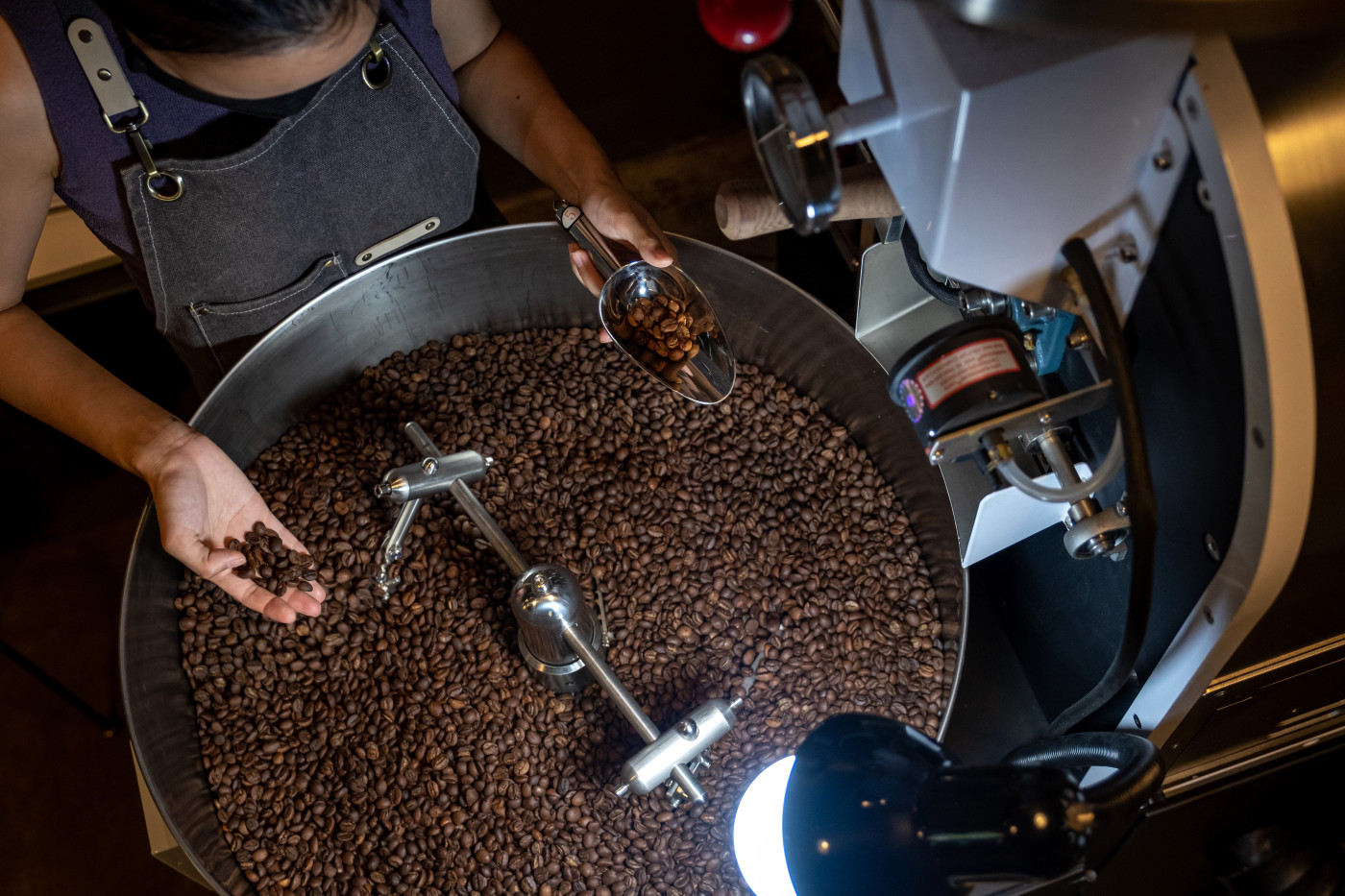 As climate change threatens Arabica beans, can quality Robusta save coffee?