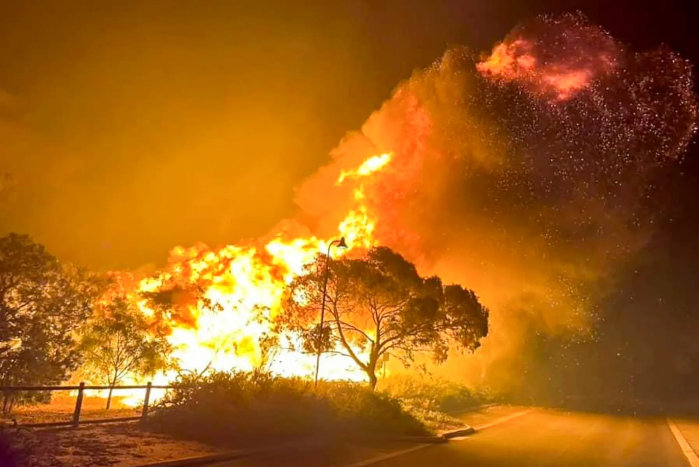 UN weather agency issues ‘red alert’ on climate change after record heat