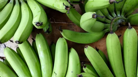 Level up your diet with green bananas