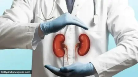 This is how your circadian rhythm affects kidney health