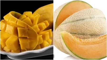 Summer special: Here’s what makes the pairing of mango and muskmelon a unique combination