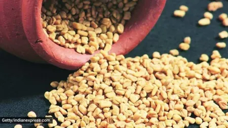 What happens to your body when you consume fenugreek seeds for 14 days?