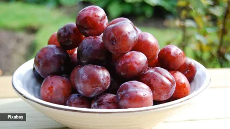 Can eating one plum a day for four weeks lower cholesterol levels?