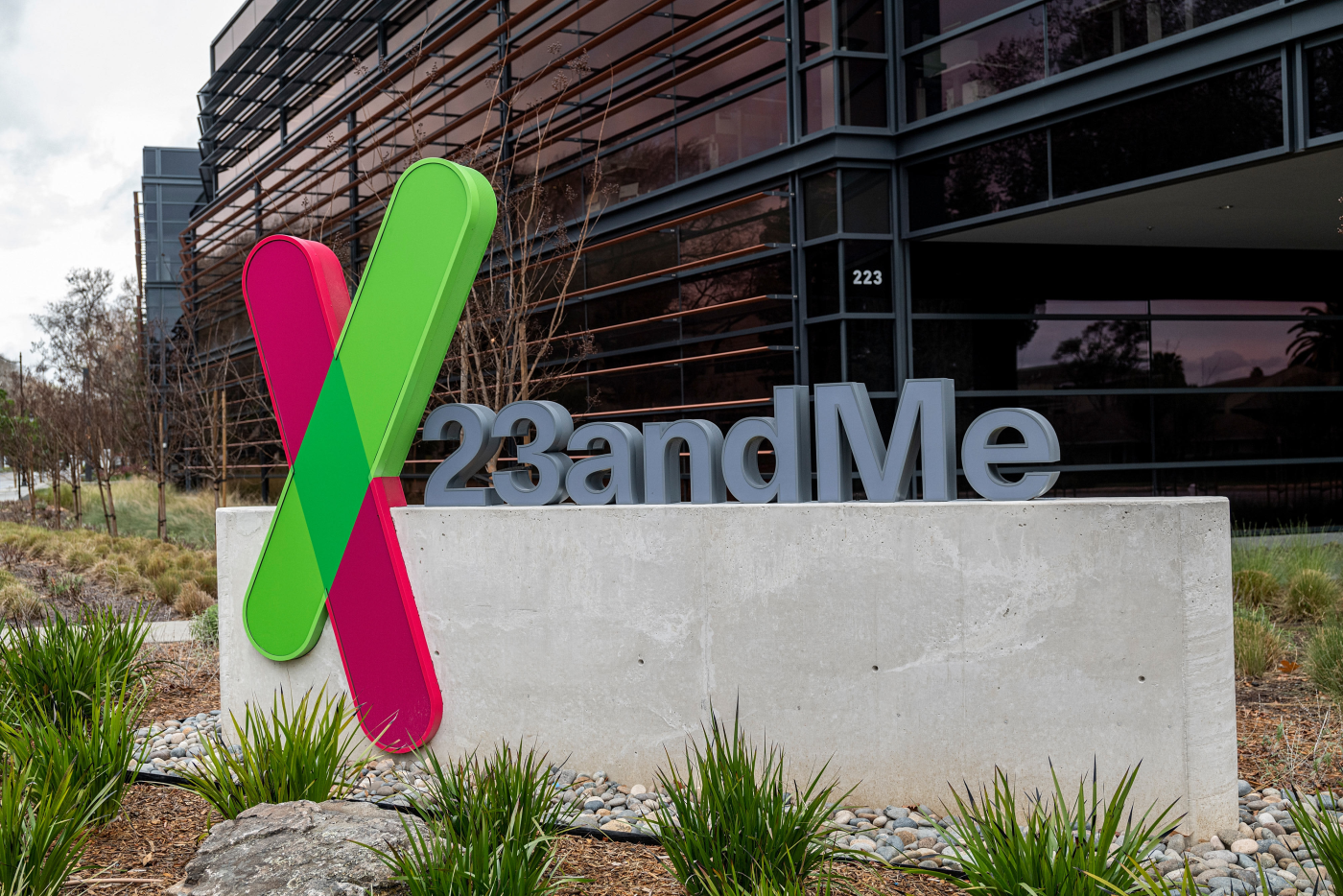 23andMe CEO Anne Wojcicki considers taking company private