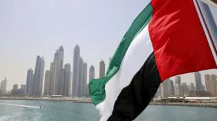 UAE planning second nuclear power plant: Sources