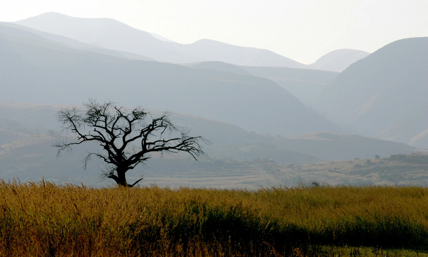 Three Eswatini chiefdoms overcome rivalry to preserve indigenous forest