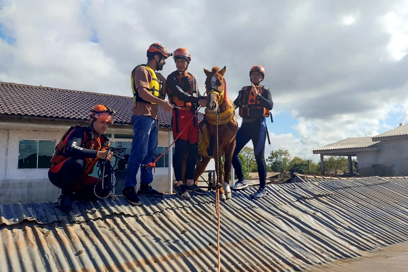 Brazilian horse ‘Caramelo’ rescued after being trapped on roof by floods