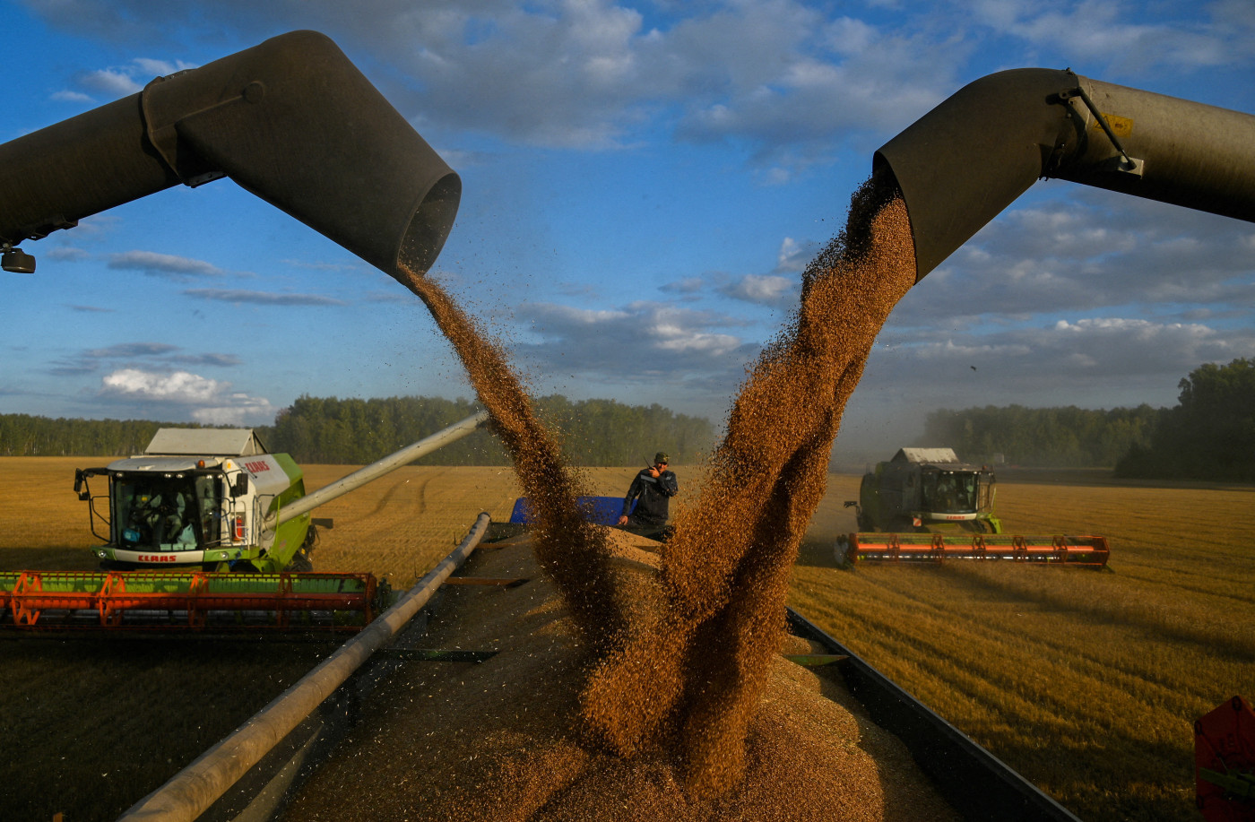 EU agrees tariffs on Russian, Belarusian grain imports from July