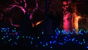 LUMA Light Festival returns to Queenstown for another stunning show