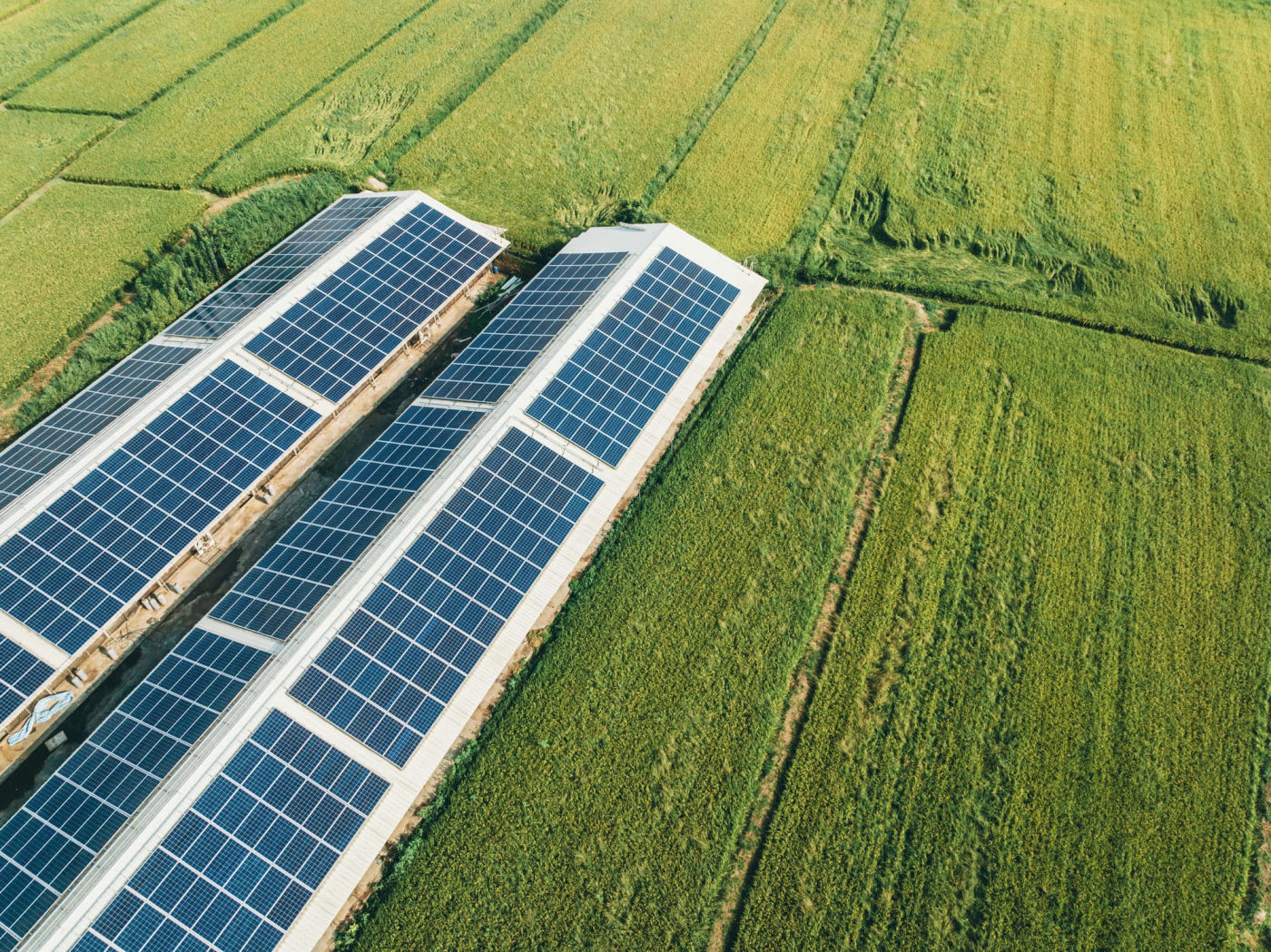 Google invests in BlackRock-backed Taiwanese solar developer to boost energy capacity amid AI boom