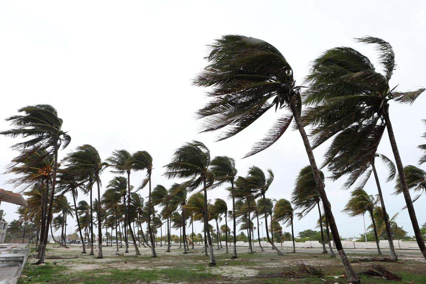 Beryl to intensify as deadly storm barrels towards Texas coast