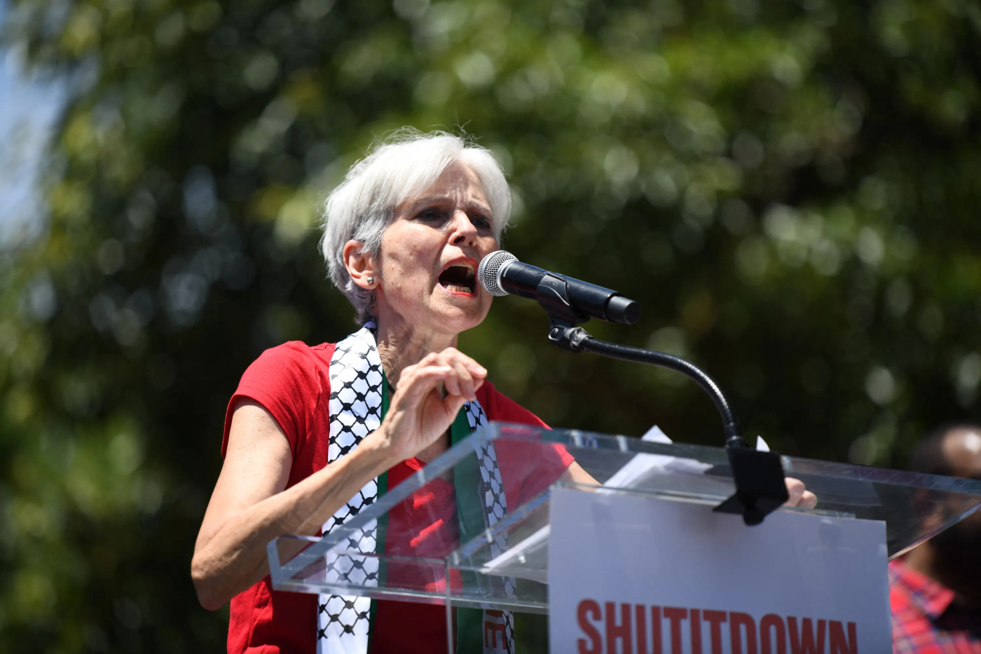 US candidate Jill Stein considering vocal Palestine advocates for VP spot